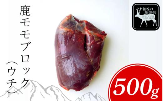 【徳島県三好市祖谷産】祖谷の地美栄 鹿 モモ ブロック ウチ 500g 希少 部位 ジビエ 地美栄 厳選 鹿肉 国産 ヘルシー 低カロリー 高たんぱく 低脂質 焼肉 BBQ バーベキュー ステーキ ロースト シカ シカ肉 唐揚げ カレー シチュー 使いやすい 冷凍 赤身 みよし 徳島 三好 祖谷