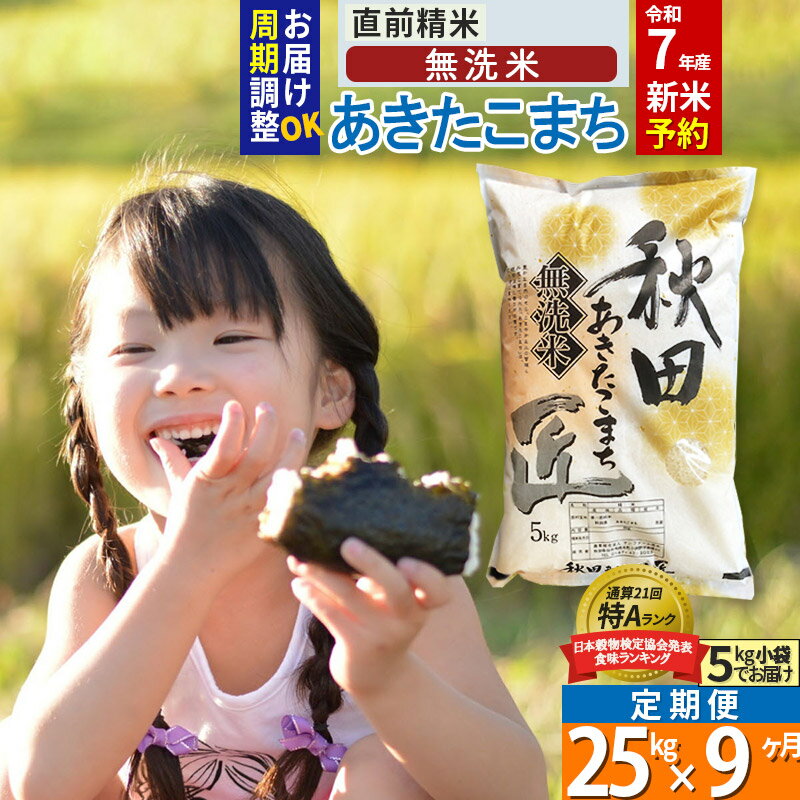 【ふるさと納税】【無洗米】※R7新米予約※《定期便9ヶ月》秋田県産 あきたこまち 25kg (5kg×5袋) ×9回 令和7年産 周期調整OK 隔月配送OK お米 新米