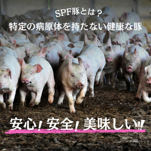 【6ヶ月定期便】千葉県産 下山農場 SPF豚 「 ほころぶた 」（ しゃぶしゃぶ用 ） ／ SPF豚 豚肉 ほころぶた しゃぶしゃぶ ロース 肩ロース 定期便