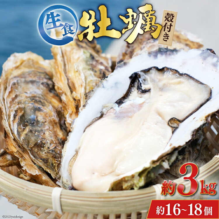 【ふるさと納税】 【期間限定発送】 TVで紹介！ 牡蠣 3～4年モノ 生食 殻付き牡蠣 約3kg(約16-18個入) [住喜水産 宮城県 気仙沼市 20564186] 期間限定 冷蔵 新鮮 濃厚 真牡蠣 カキ かき 生牡蠣 魚貝類 生牡蠣 貝 海鮮 魚介類 なべ カキフライ 牡蠣ご飯 魚介