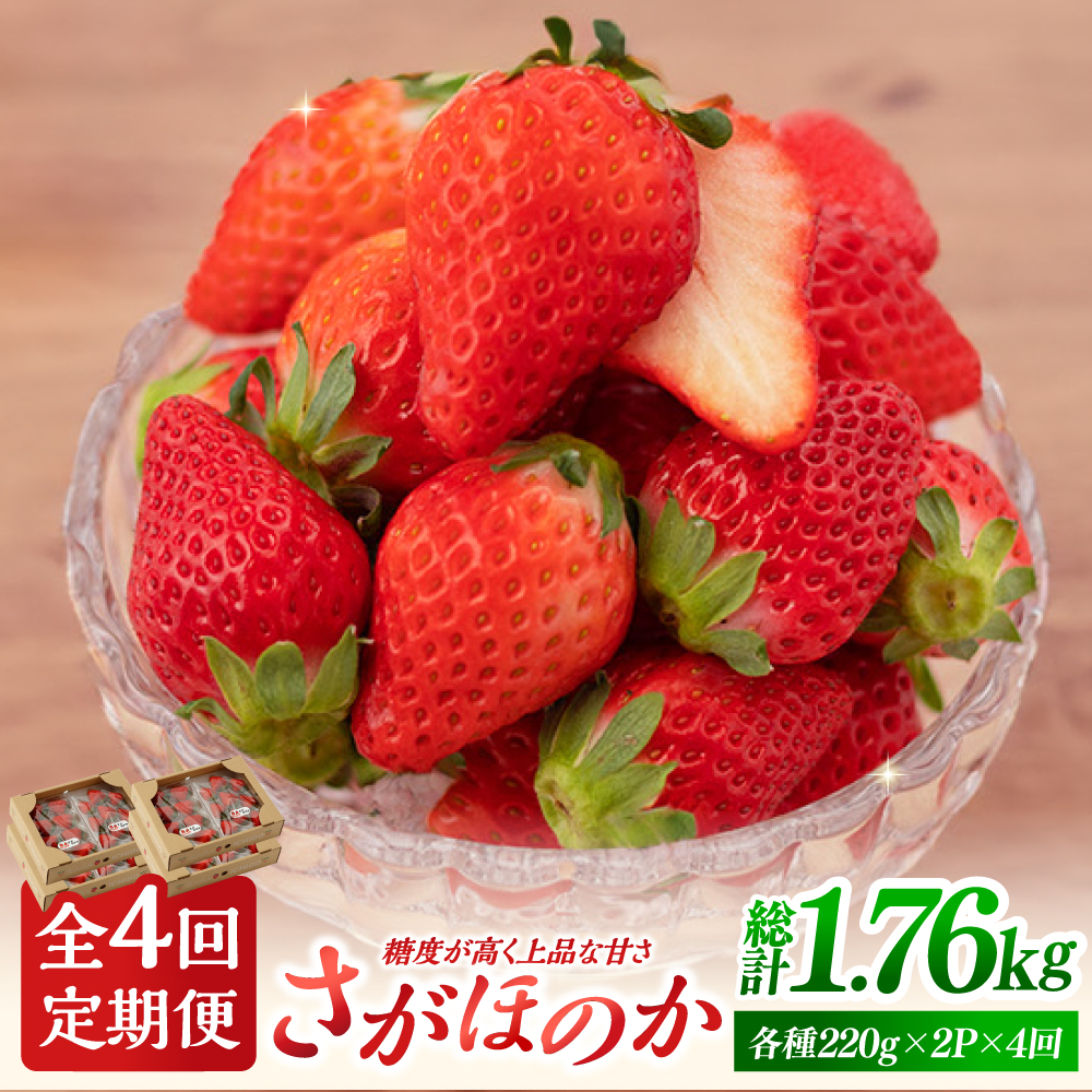 【先行予約】【4回定期便】さがほのか 220g×2パック×4回 【鐘ヶ江農園】 [IBH017]