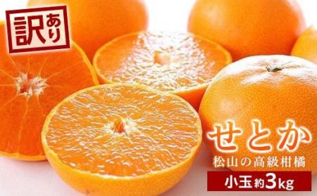 【2月中旬から発送】 せとか＜小玉＞ 約3kg【KK0291】