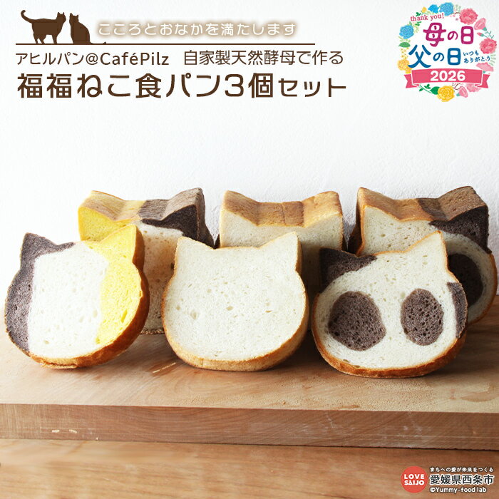 アヒルパン＠CafePilz ＜自家製天然酵母で作る 福福ねこ食パン3個セット＞ ※入金確認後、2か月以内に順次出荷します。プレーン ココア かぼちゃ しょくぱん 猫 朝ごはん カフェピルツ 愛媛県 西条市【冷凍】