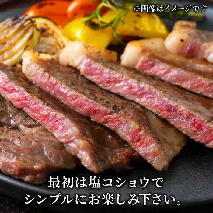 佐賀牛サーロインステーキ400g（200g×2） A5 すてーき スピード発送[FCX005]