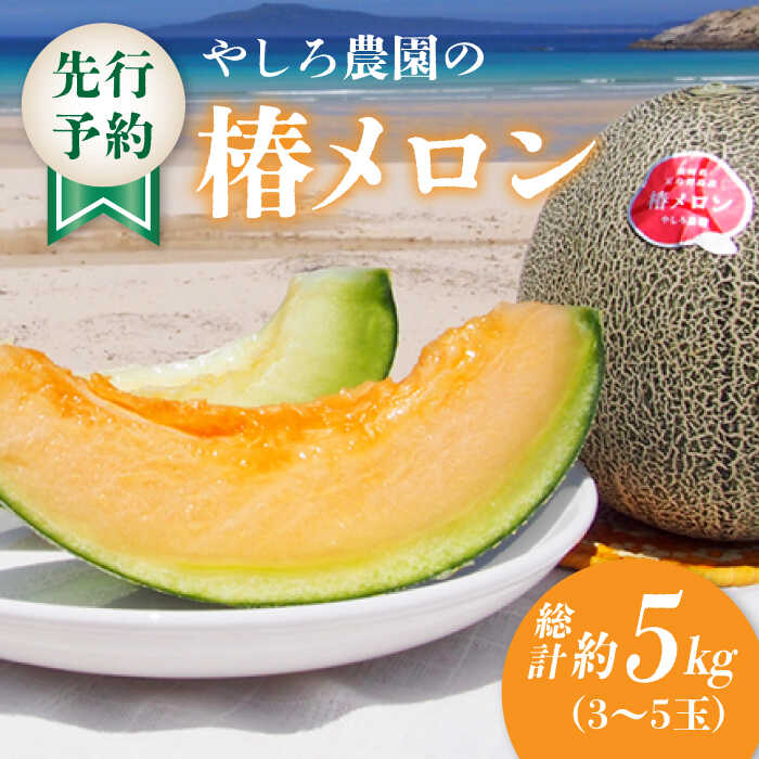 【ふるさと納税】【先行予約】【2026年6月順次発送】やしろ農園の椿メロン 五島市 / いきいきファーム [PCY008] 赤肉 緑 メロン フルーツ 果物 くだもの 食べ比べ 数量限定 限定 五島 長崎 五島列島