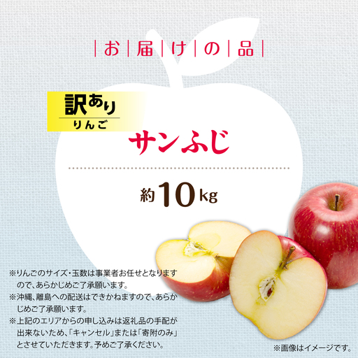 【先行予約】＜2026年12月上旬よりお届け＞北海道壮瞥町　【訳あり】りんご　品種名「サンふじ」約10kg SBTF030