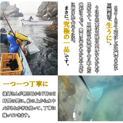 ふるさと納税 普代村 瓶入り 生うに 90g×1本 ミョウバン不使用 無添加 塩水 |  | 01