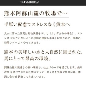 【フジチク】ふじ馬刺し 上赤身80g×4 国内肥育 熊本肥育 熊本と畜 新鮮 熊本と畜 希少 馬刺し 馬肉 高級部位 320g 専用タレ ショウガ付き 冷凍 真空パック ISO22000取得 UKAS