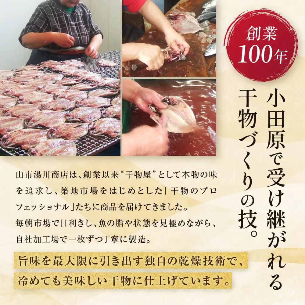 【国産】おまかせ干物セット 竹コース【お取り寄せ 海鮮 グルメ ギフト プレゼント 産地直送 産直 魚 手作り ひもの 詰め合わせ お中元 お歳暮 父の日 母の日 誕生日 自宅用 贈答品 贈答用 朝食