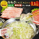 【ふるさと納税】大分県産 白ネギ しゃぶしゃぶ セット 計1.1kg 白ネギ 600g 豚肉 ロース バラ 各250g だしパック5袋 ぽん酢150ml 鍋セット 鍋 具材付き 惣菜 おかず 冷凍 九州産 大分県 送料無料【2024年9月上旬から2025年3月下旬発送予定】