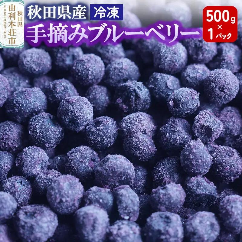 秋田県産 手摘み冷凍ブルーベリー 500g×1パック