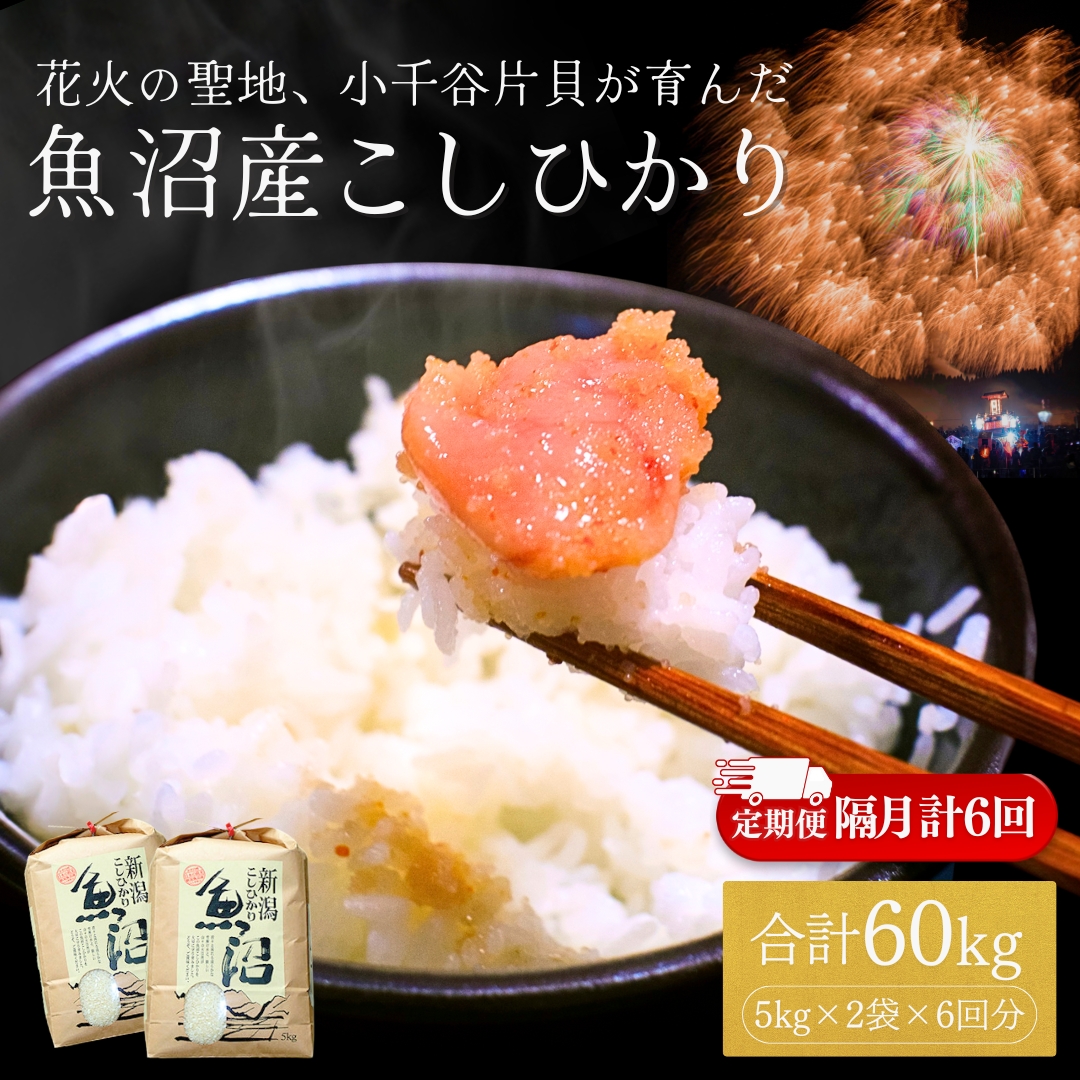 【令和7年産 定期便】魚沼産コシヒカリ 計60kg(5kg×2袋×隔月全6回） 白米 精米 新潟県産 米萬【0002-KM08DB00】
