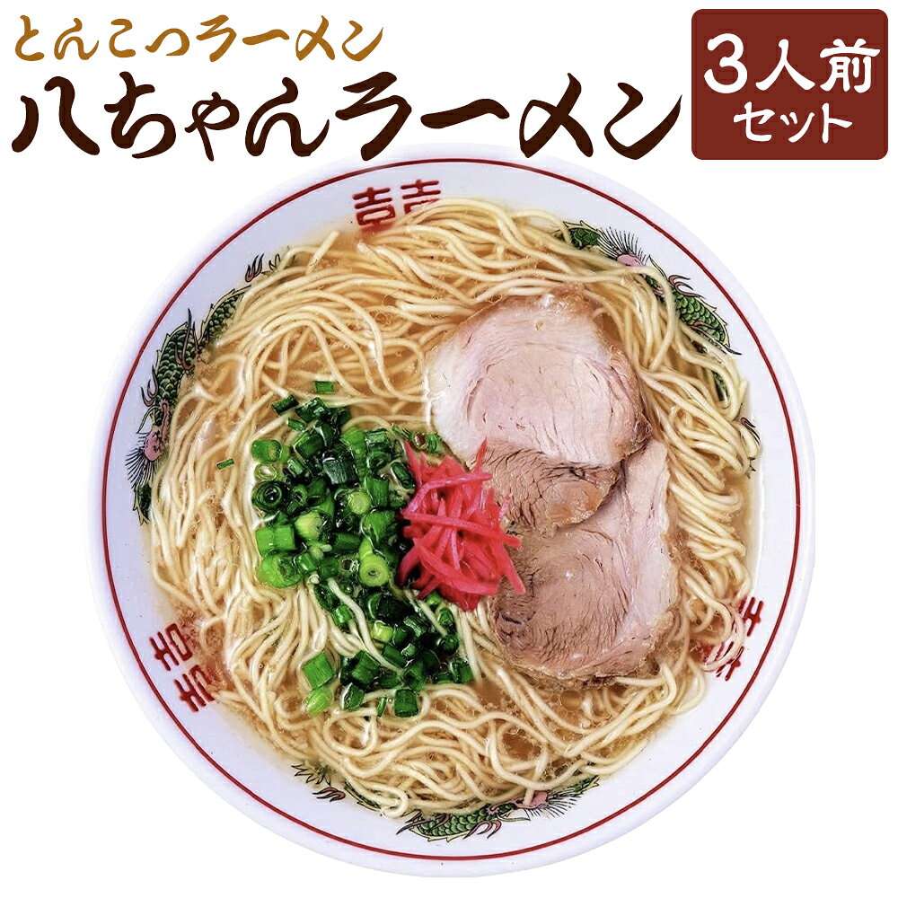 【ふるさと納税】福岡県 とんこつラーメン 八ちゃんラーメン 3人前 麺・スープ 各3袋 計510g ラーメン 拉麵 らーめん 豚骨 トンコツ 麺類 めん 惣菜 九州 福岡県 柳川市 送料無料