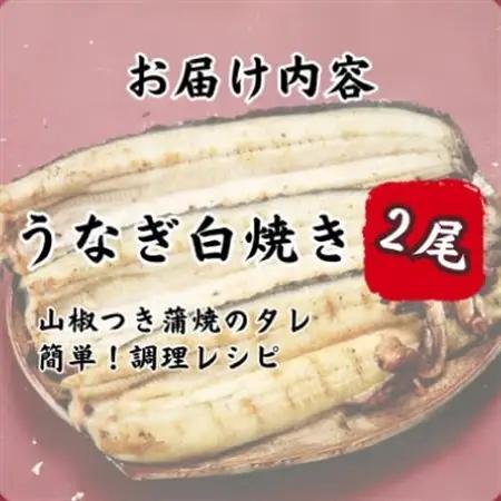 【焼きたてを即日配送】浜名湖うなぎ白焼き140g×2尾(冷蔵便)_魚介・海産物 うなぎ  ウナギ 鰻_【配送不可地域：離島】【1497523】