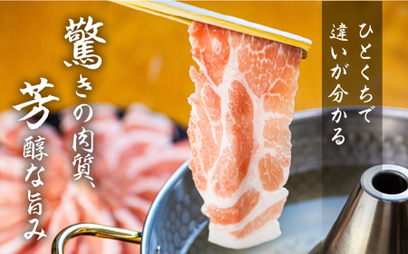 【12回 定期便】国産 豚肉 食べ比べ 500g × 3 計 1.5kg しゃぶしゃぶ用 ロース 肩ロース バラ 冷凍 田原ポーク 小分け 100g ずつ 個包装 定期便