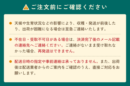 先行予約 新興梨（しんこうなし）4kg｜鳥取 果物 フルーツ なし 梨【41036】