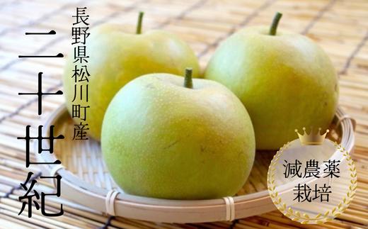 
            YN08-25A 梨 二十世紀 約5kg 減農薬栽培 秀品／2025年9月上旬～下旬頃 配送予定 //長野県 南信州 松川町 安心 安全 減農薬栽培 贈答 梨 二十世紀 20世紀 なし ナシ
          