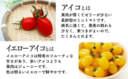 ミニトマト 約400gx4約 計1.6kg ｜ヤサイ 野菜 やさい トマト とまと ミニトマト 奈良県 五條市