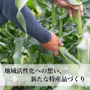 【2025年 先行予約】もぎたて発送！山梨県産 ヤングコーン 30本【栄養たっぷりヒゲ付き！】｜炭野菜 野菜 とうもろこし 間伐材 炭 肥料 SDGs 炭香ファーム　トウモロコシ　とうもろこし　甘い　