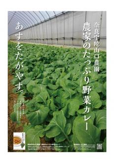 農家のたっぷり野菜カレー　１０個／山口農園　有機野菜　オーガニック　伝統野菜　レトルト　カレー　キャンプ　奈良県　宇陀市　カレー おかず ご当地  簡単 お歳暮 暑中見舞い  保存 時短 国産 保存食