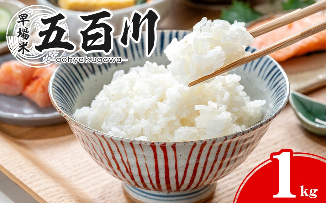 
                  【令和8年産 新米】＜先行予約受付中！R8年9月上旬から順次発送予定＞ 五百川 1kg お米 おこめ 米 コメ 白米 早場米 極早生品種 ご飯 ごはん おにぎり お弁当【赤間農業開発株式会社】ta716
                