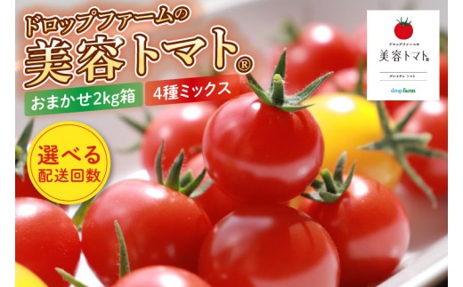 
                  【選べる定期回数】【11月より順次発送】ドロップファームの美容トマトおまかせ2kg箱(４種ミックス) 定期便 【とまと フルーツトマト 野菜ソムリエ 朝採れ アイコ イエローアイコ 小鈴 フルティカ 野菜 フレッシュ リコピン 大容量 茨城県 水戸市】（CK-17a）
                