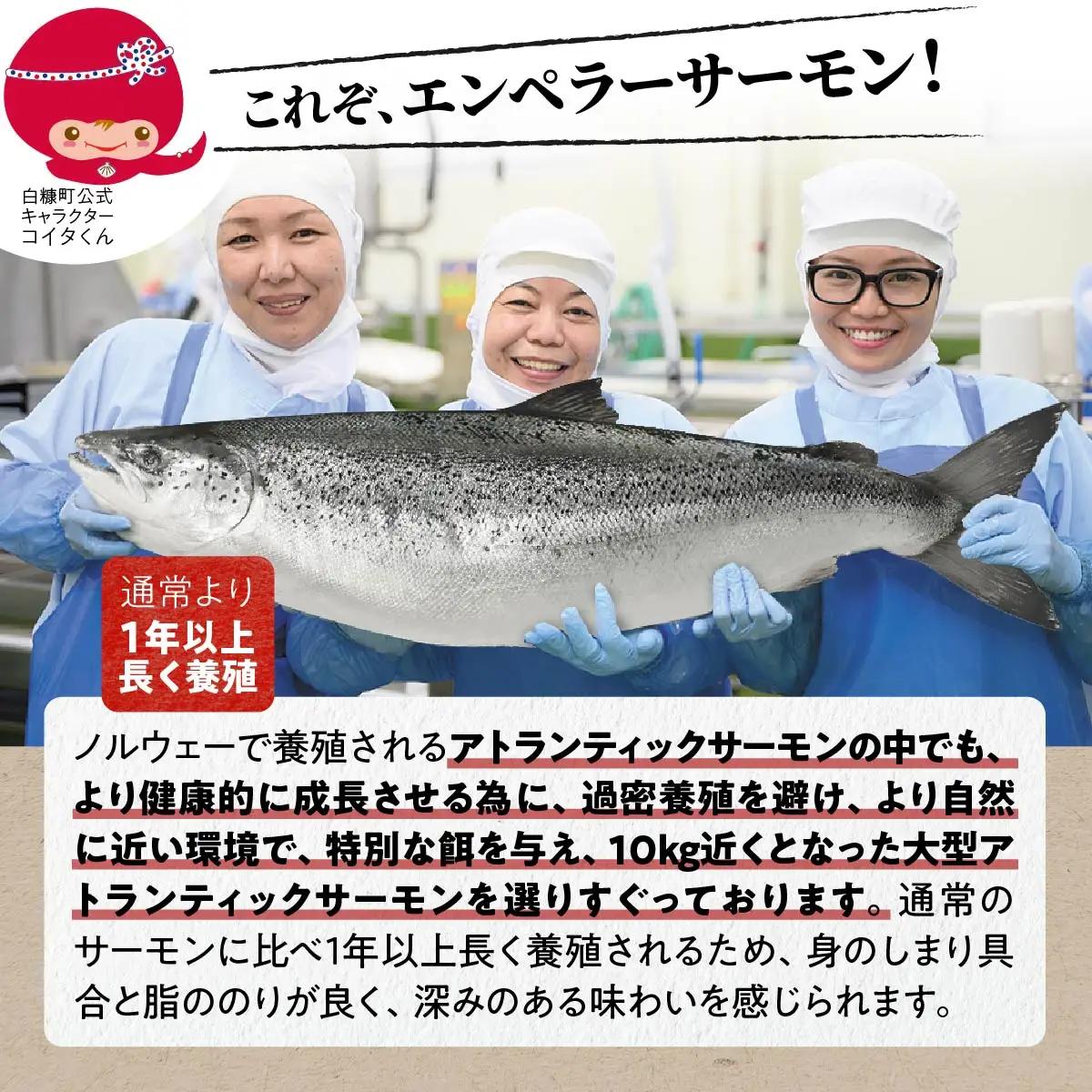 高評価★4.76 ふるさと納税 魚 【総合1位獲得の選べる サーモン 定期便 2回お届け】 エンペラーサーモン 900g 小分け 海鮮 鮭 刺身 さけ サケ ふるさと 人気 ランキング 北海道 白糠町