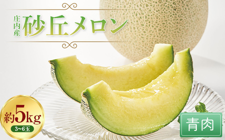 《2026年先行予約》庄内産砂丘メロン（青肉）5kg FSY-0761