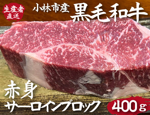 
            【食べログ百名店提供】黒毛和牛赤身サーロインブロック 400g（国産 牛 牛肉 赤身 ブロック肉 ローストビーフ）
          