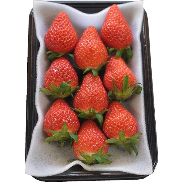 食の都庄内　《1・2・3月お届け》旬のフルーツ3ヶ月定期便 1月:洋梨、2月:干柿、3月:いちご