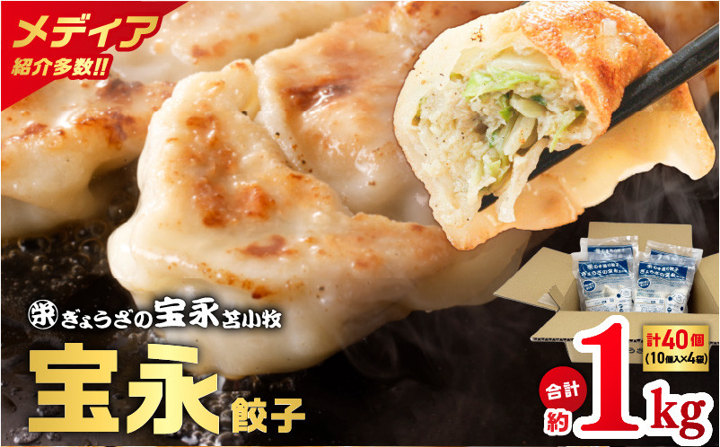 
            【ぎょうざの宝永】宝永餃子250g入（10個入）×4袋 合計1kg　T004-003
          
