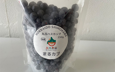 及川農園 プレミアムハスカップ 1kg F4G-0342