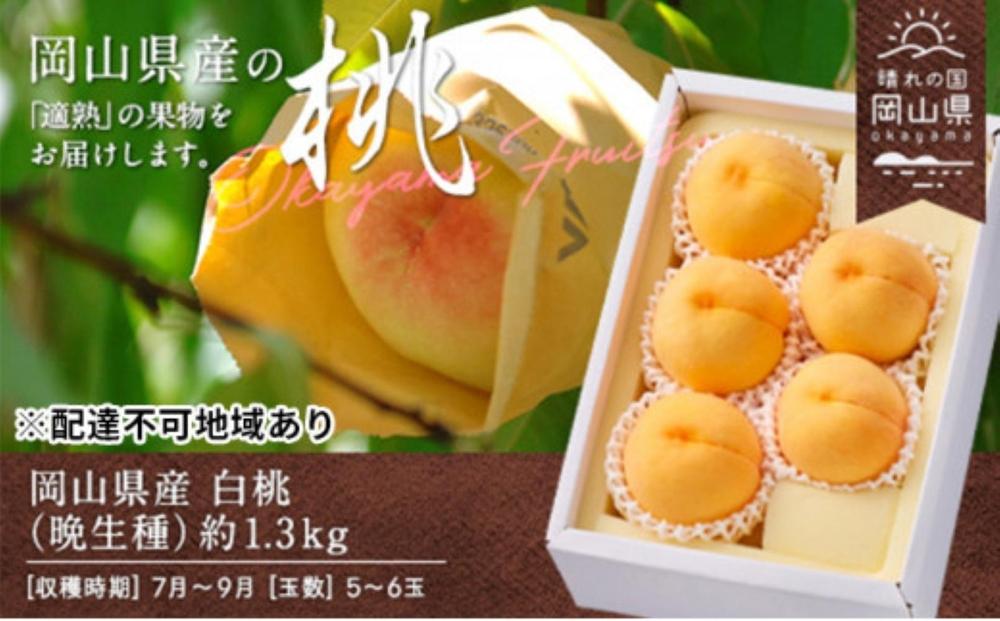 【先行予約】岡山県産　白桃（晩生種）　約1.3ｋｇ 5～6玉（クール便）