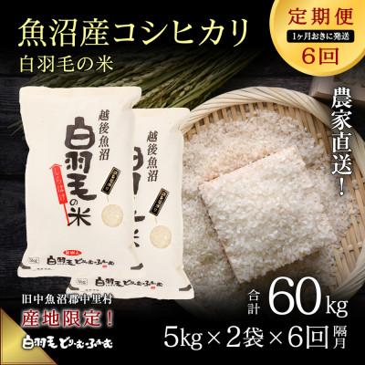 ふるさと納税 十日町市 【2ヵ月毎定期便】農家直送!魚沼産コシヒカリ 精米(5kg×2袋)全6回