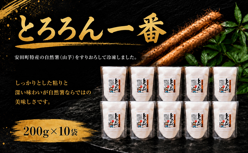 安田町産 中山 自然薯とろろん1番(すりおろし)10袋 とろろ 冷凍 小分け 自然薯 すりおろし 200g 10袋 そば うどん ラーメン そうめん 簡単調理 野菜 やさい 山芋 やまいも ふるさと納税野菜  高知県  安田町 JN0003