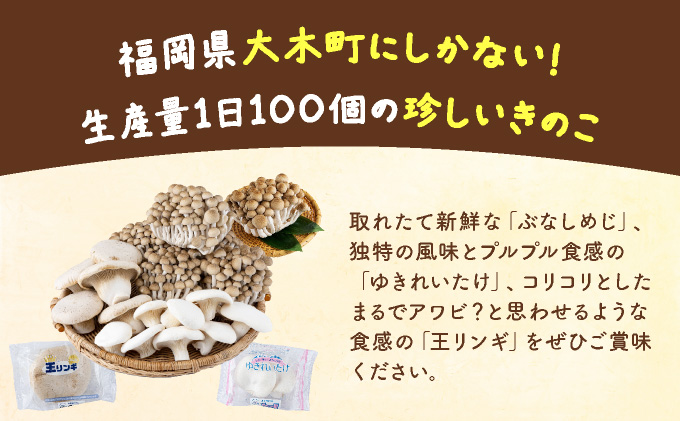 食欲の秋！きのこの詰め合わせ(ぶなしめじ・ゆきれいたけ・王リンギ各3パック)AT16