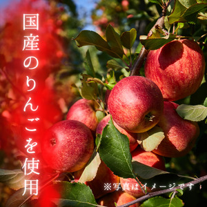 メルカドレグメス　ドライフルーツ　りんご ／ ドライフルーツ フルーツ 果物 くだもの りんご リンゴ 林檎 自家製