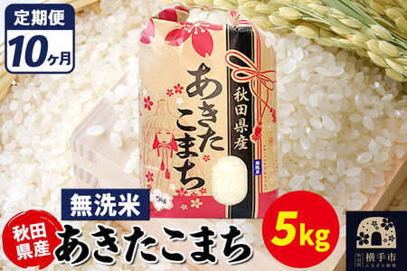 《定期便10ヶ月》あきたこまち 5kg【無洗米】令和7年産 秋田県産 こまちライン
