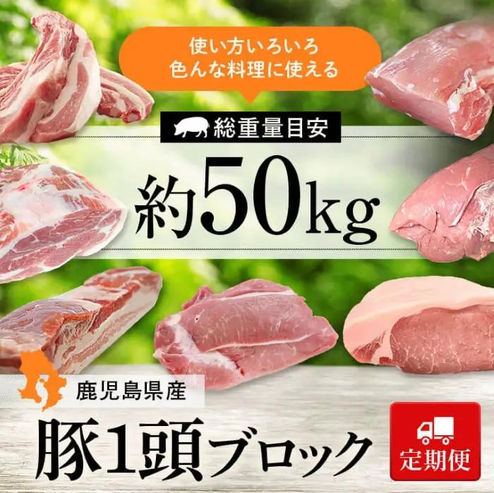 【6回定期便】 鹿児島県産 豚1頭 ブロックセット(総量約50kg前後) 豚肉【大将食品】G05032