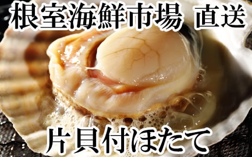 A-14134 ＼漁業者応援品／片貝ほたて10～13枚×2袋