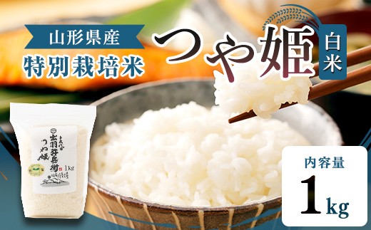 
                  【令和7年産】特別栽培米 つや姫 白米 1kg 山形県産 F2Y-4789
                