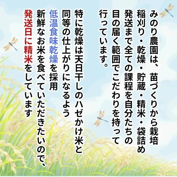 【新米予約】 特別栽培米 こしひかり 玄米 5kg 『奥信濃の棚田米 実の里』