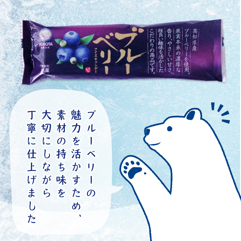 ブルーベリーアイスキャンデー 20本