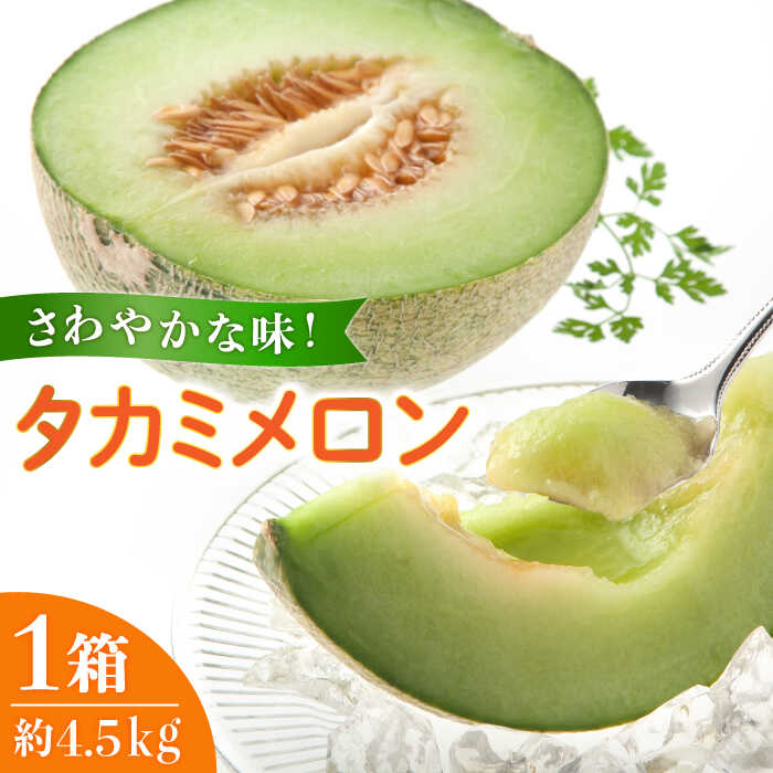 【2025年5月～発送】【さわやかな味わい！】 タカミメロン 約4.5kg / メロン 南島原市 / 南島原果物屋 [SCV013]
