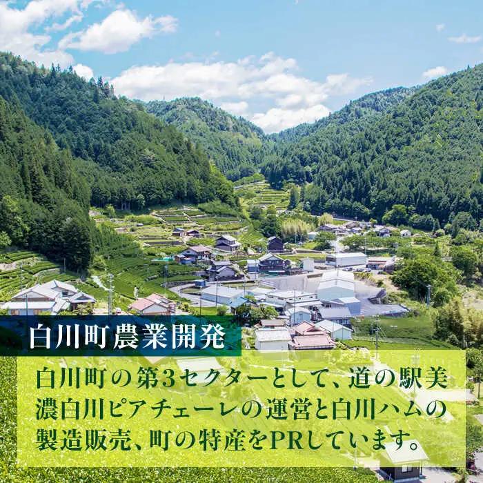 国産百花はちみつ 600g / 白川町農業開発[AWAH007] はちみつ