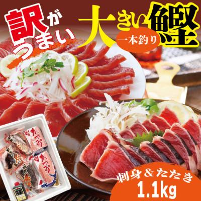 ふるさと納税 枕崎市 【訳あり】大きい!!!サイズの炭火焼鰹タタキ&amp;さしみ　A0-35