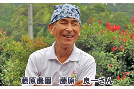 里地・里山のめぐみ 純粋ハチミツ（レンゲ） 1kg ＜数量限定＞