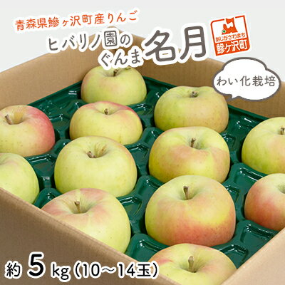 【ふるさと納税】りんご 青森 ぐんま名月 わい化栽培 リンゴ 約 5kg (10～14玉) 青森県 鰺ヶ沢町産 ヒバリノ園 フルーツ 果物 果物類 白神山地 林檎 2024 ※オンライン決済のみ 　お届け：2025年10月25日～11月5日