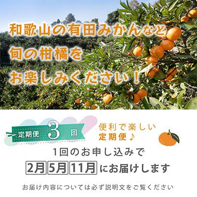 ふるさと納税 和歌山市 【発送月固定定期便】季節の柑橘定期便B【フルーツ定期便】【和歌山県有田】全3回 |  | 01