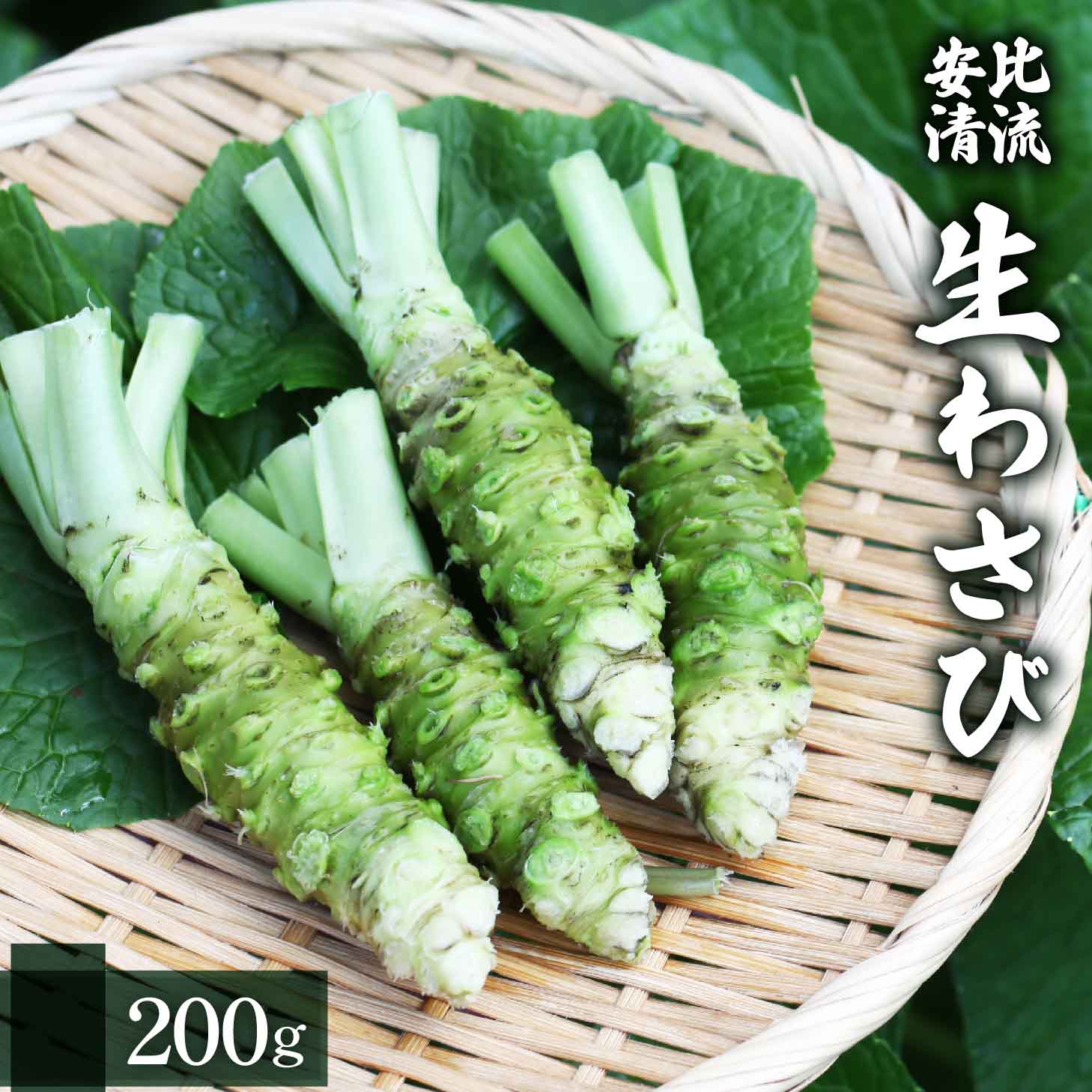 生わさび 200g 【安比清流山葵園】 ／ わさび 山葵 ワサビ 生山葵 生ワサビ 新鮮 薬味 産地直送 国産 岩手県産